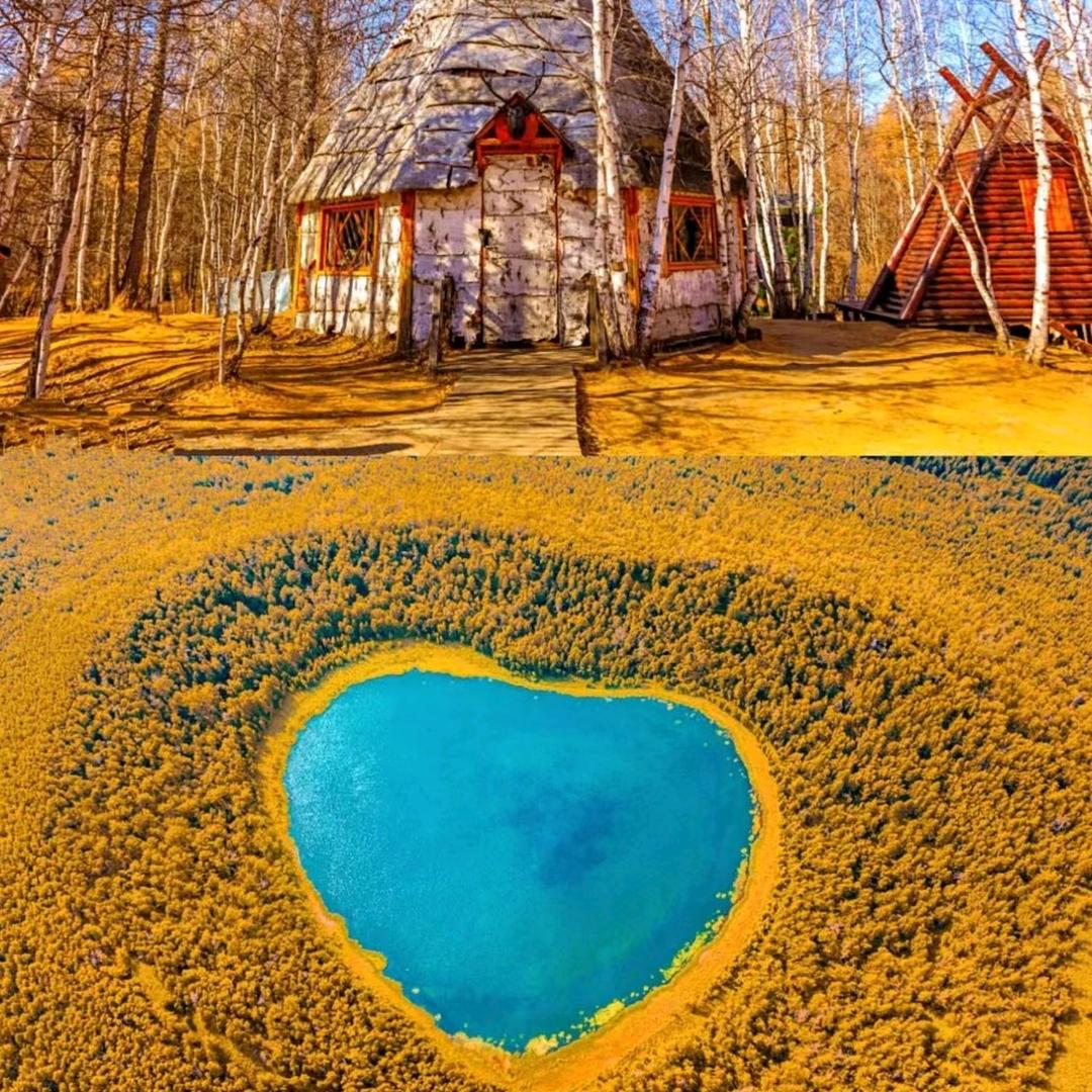 随风（专注三农发展）