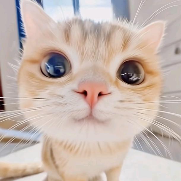 ⫍ ⃢⃢👁 ܫ 👁⃢ ⫎