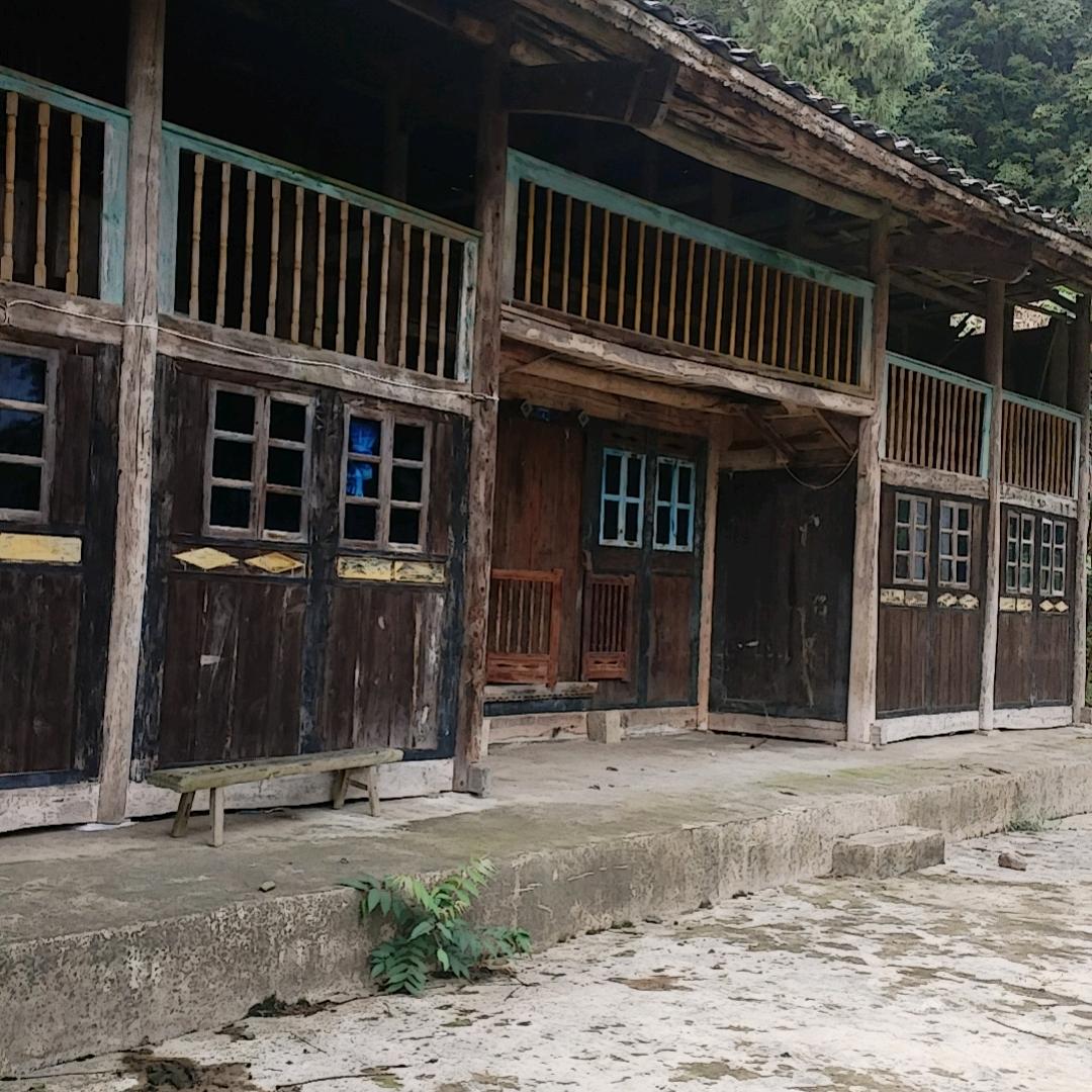 老陈(义门陈)遵义凤冈