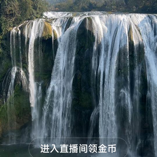 用户不存在什么