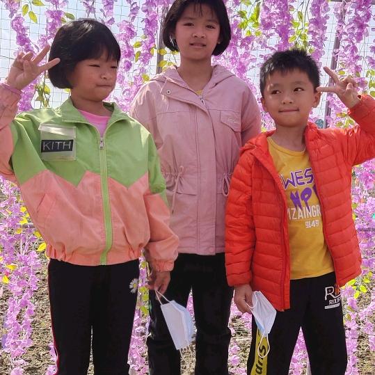 再见理想