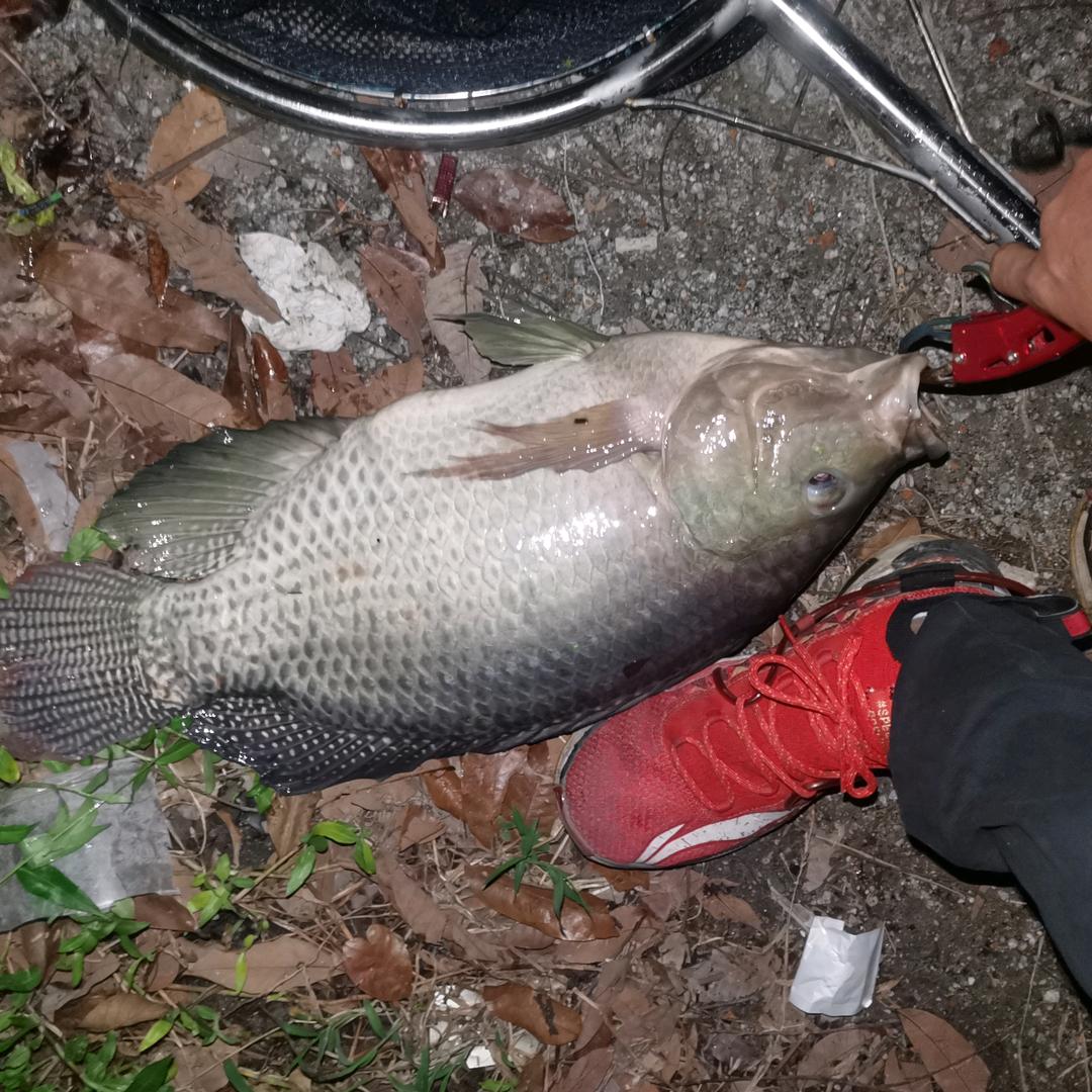 宁西太和垂钓园