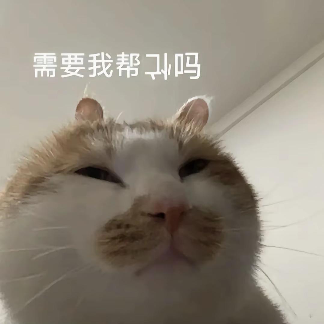 蚊子来吸我黑眼圈