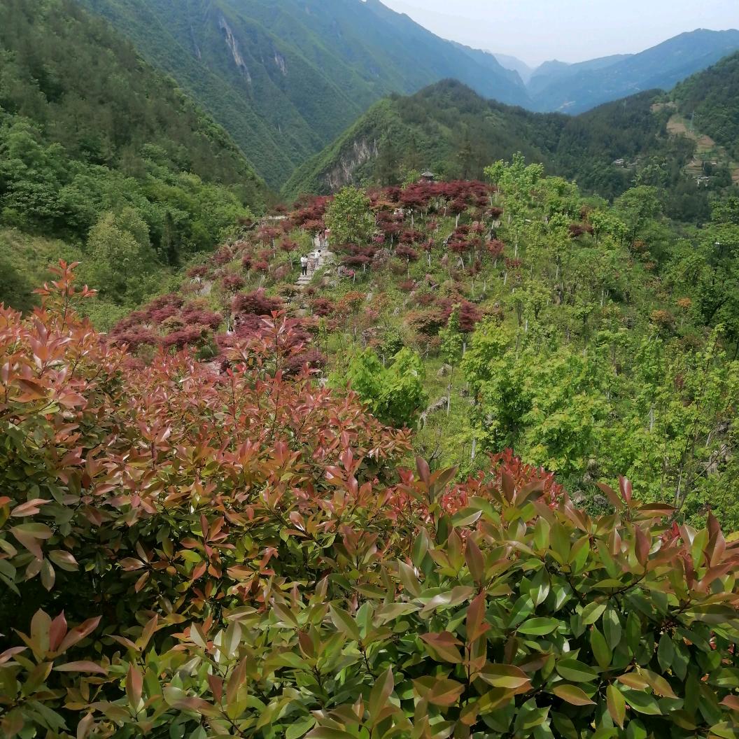 顺逆而战