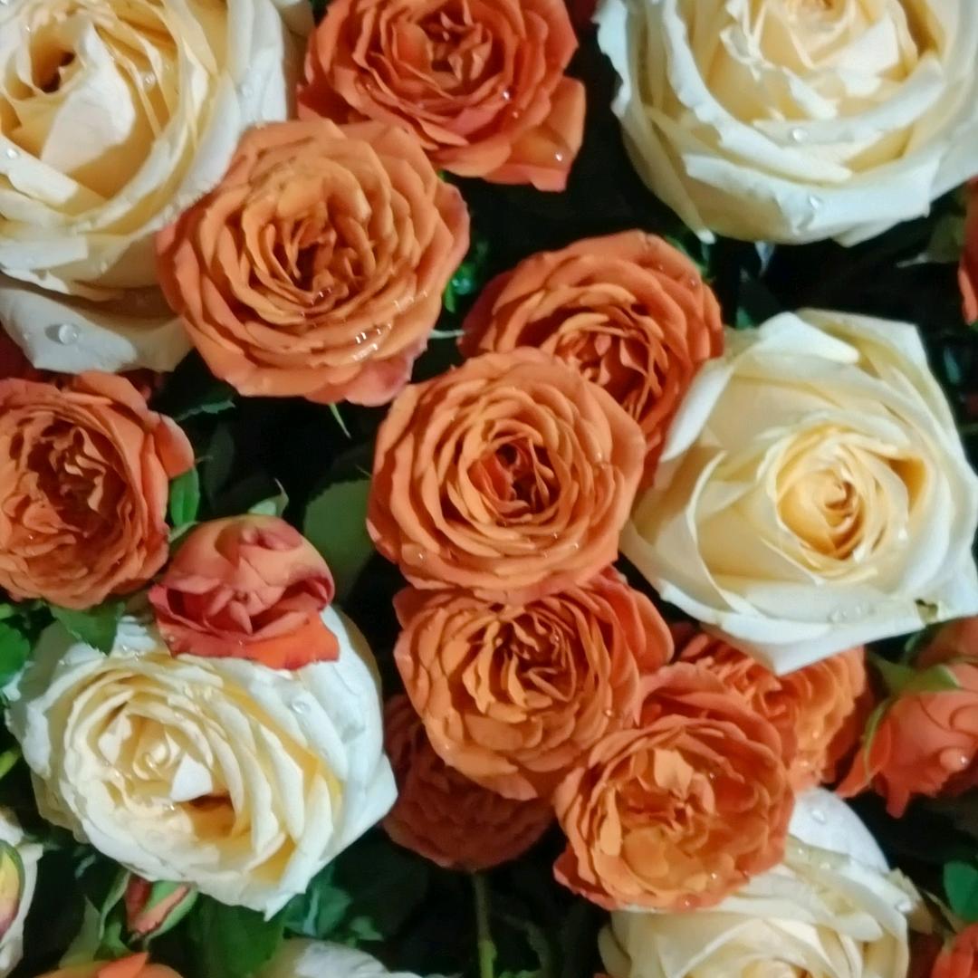 一个人流泪，没有人体会