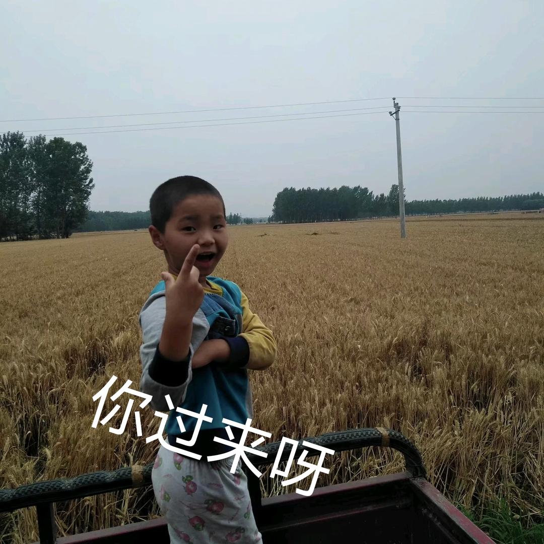小陈二十八