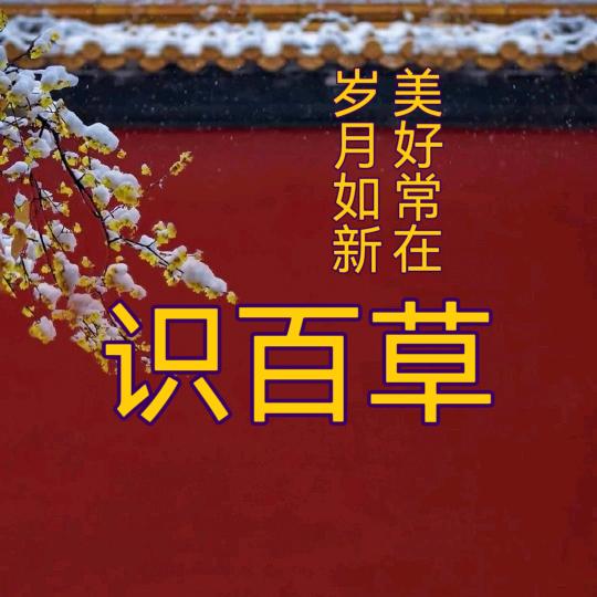 国富强 业必兴（听故事学中药）