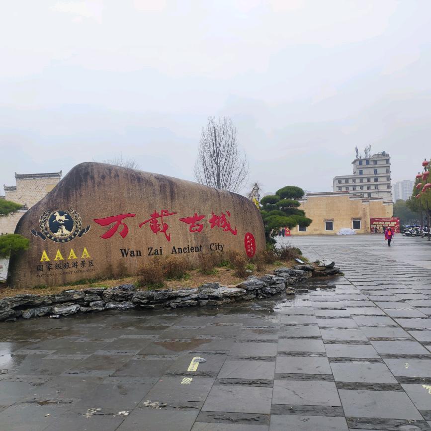 人生別无选择