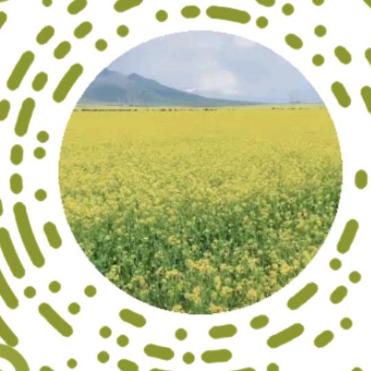 你有故事我有酒