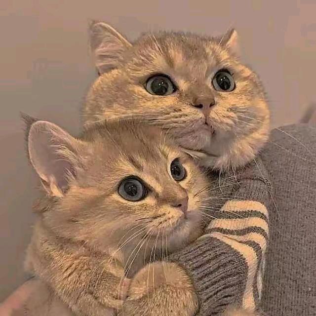 䰀㦟䤔䦵
