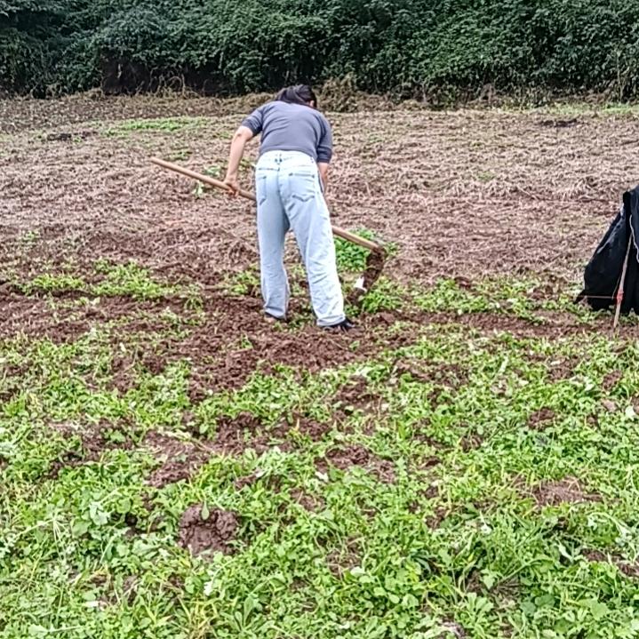 我想飞