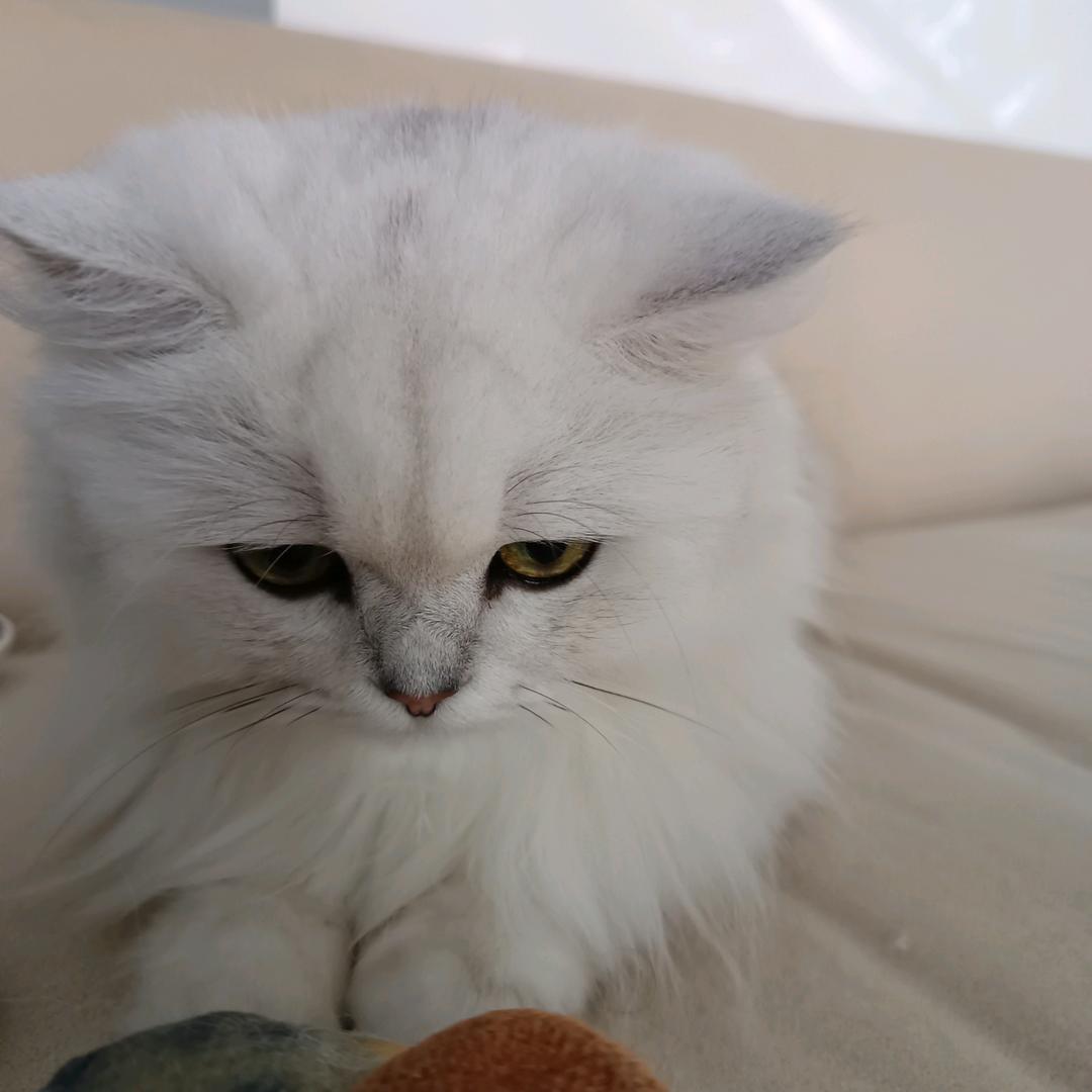 一心向党 爱国爱党