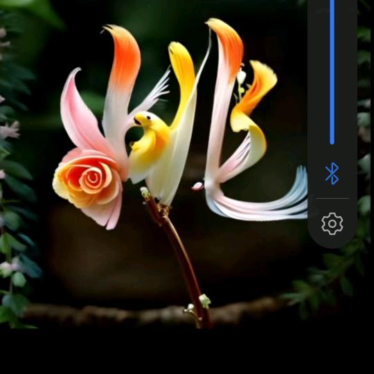 TNT《飞虎队》
