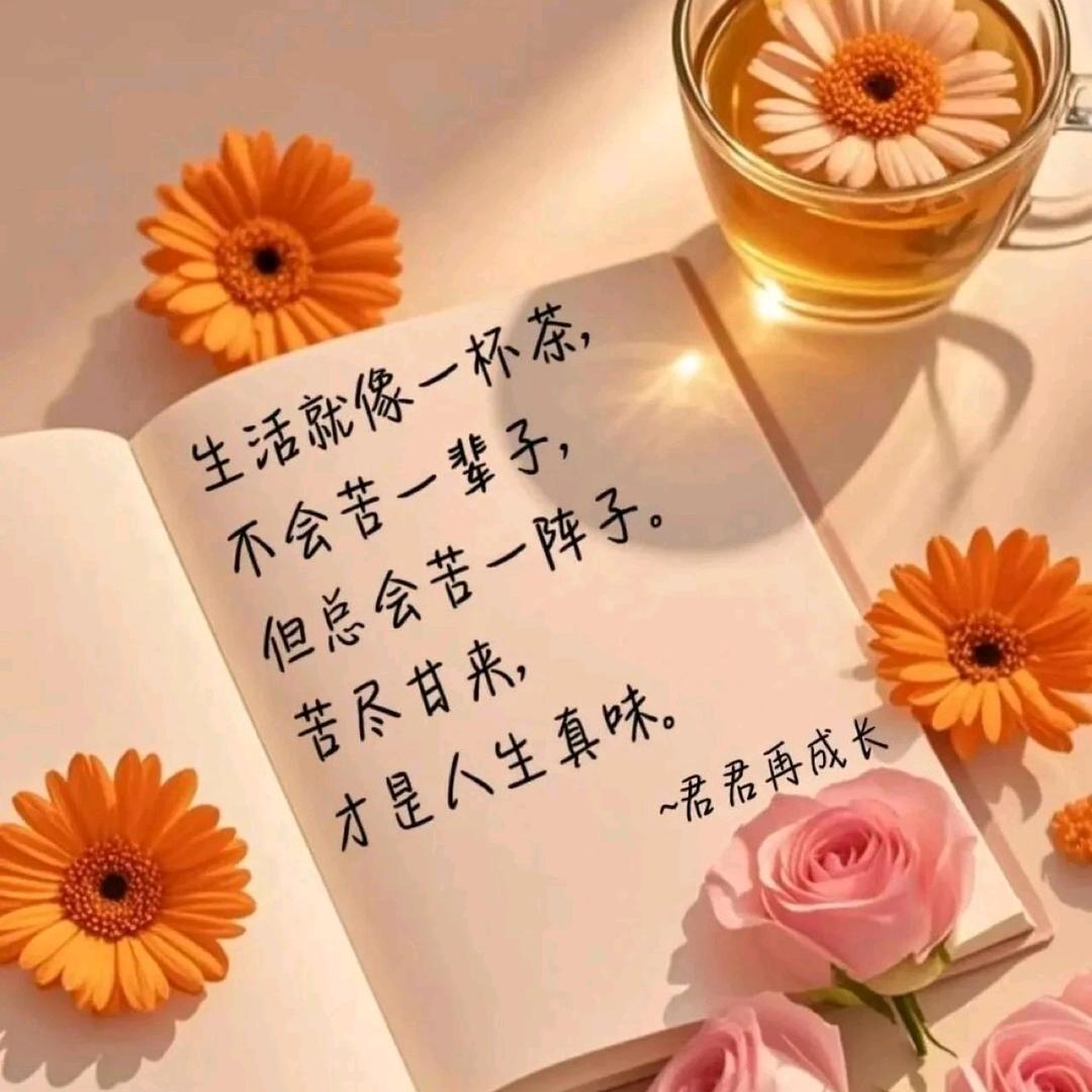 美丽的邂逅