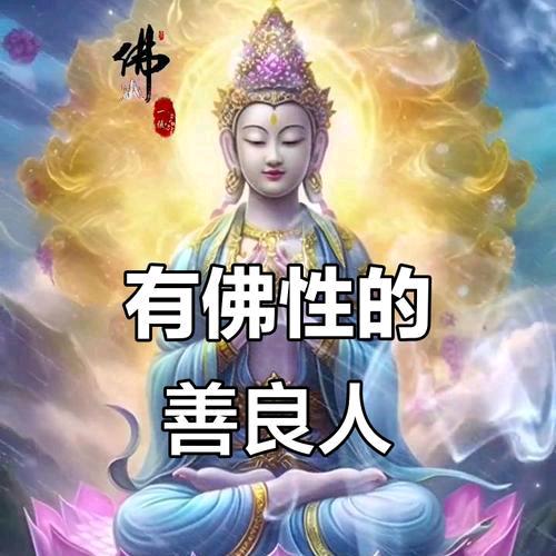佛心善缘🙏🙏🙏🙏🙏🙏