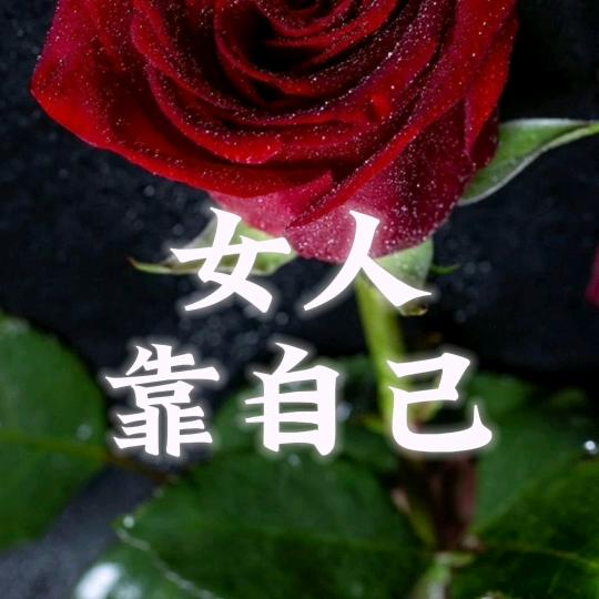 舞醉田田