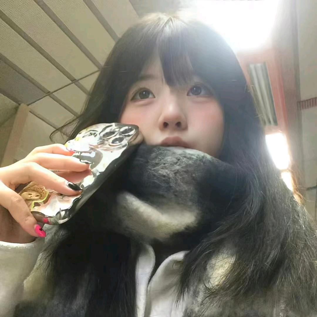 路沅