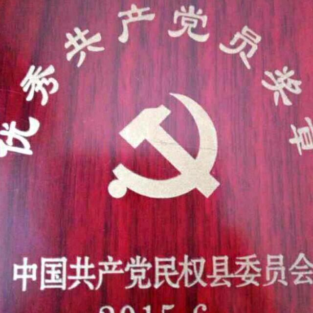 是金子到那都会发光