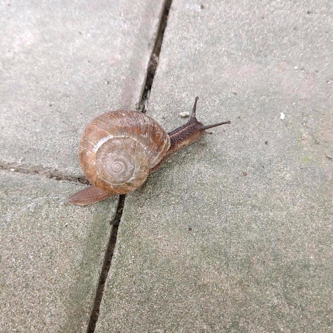 生活就要屁颠屁颠的过!