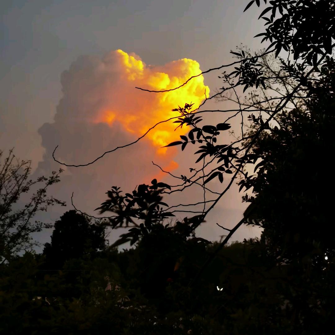 景