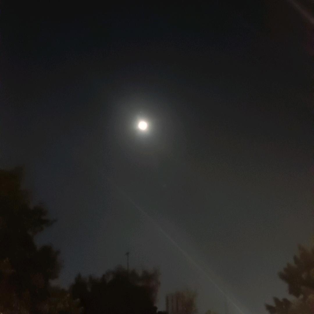 阿黑