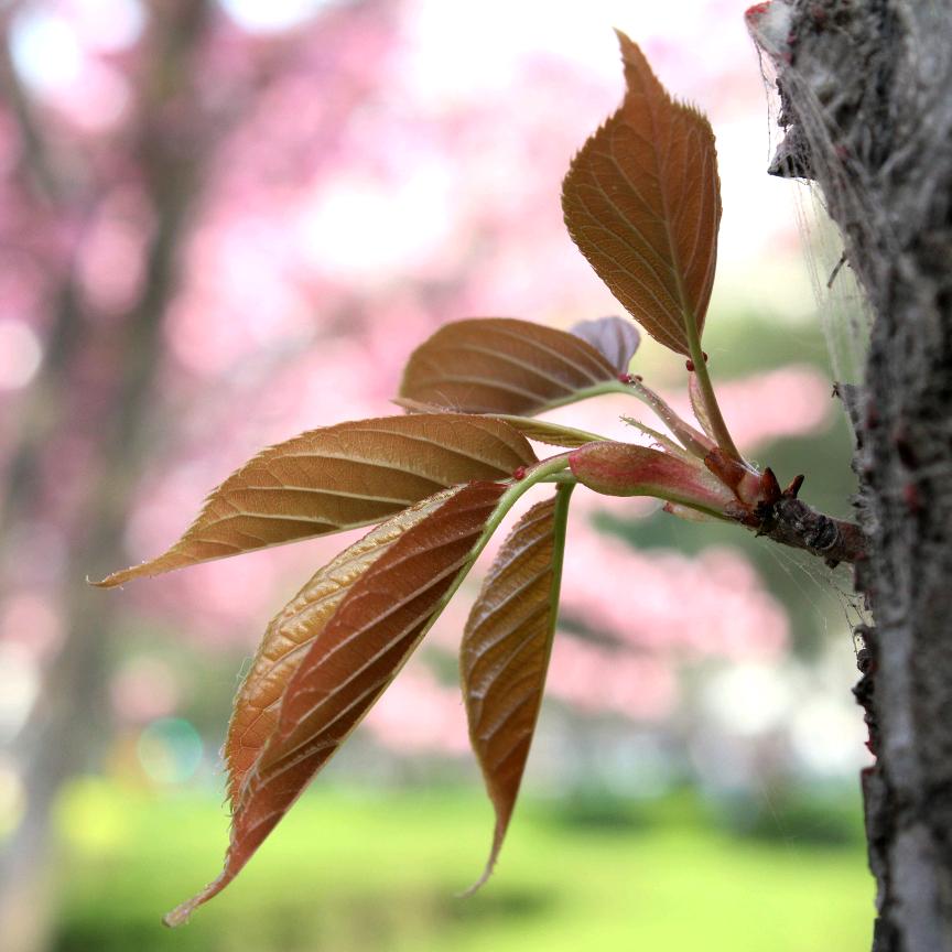 聽··塑料布@永济