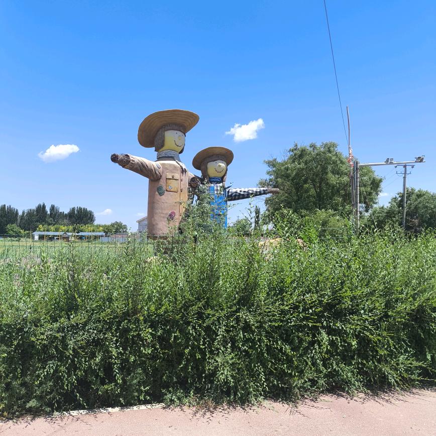 宇宙最强大帅