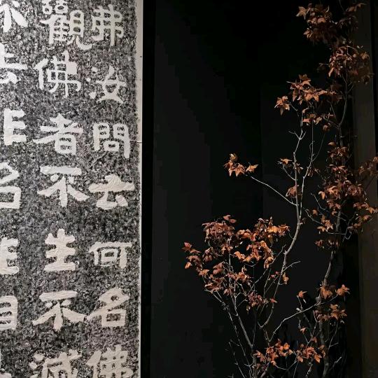 洵