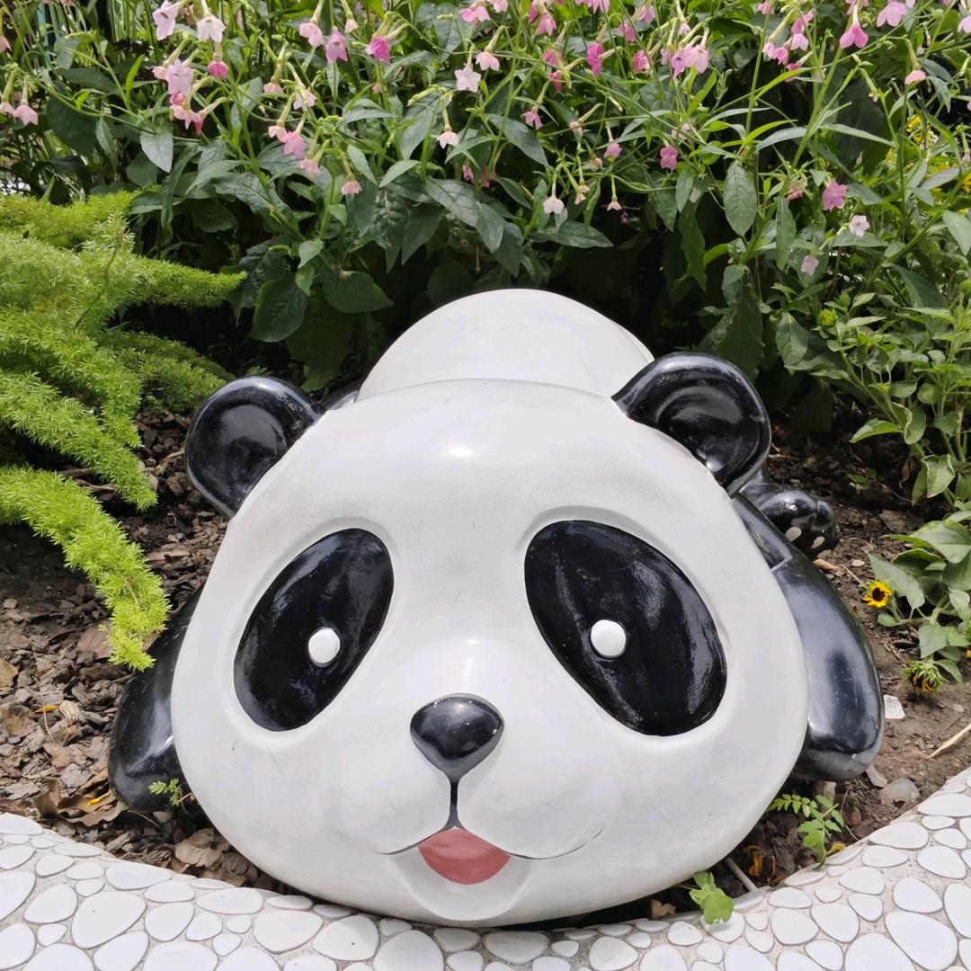 健身器械大宗师