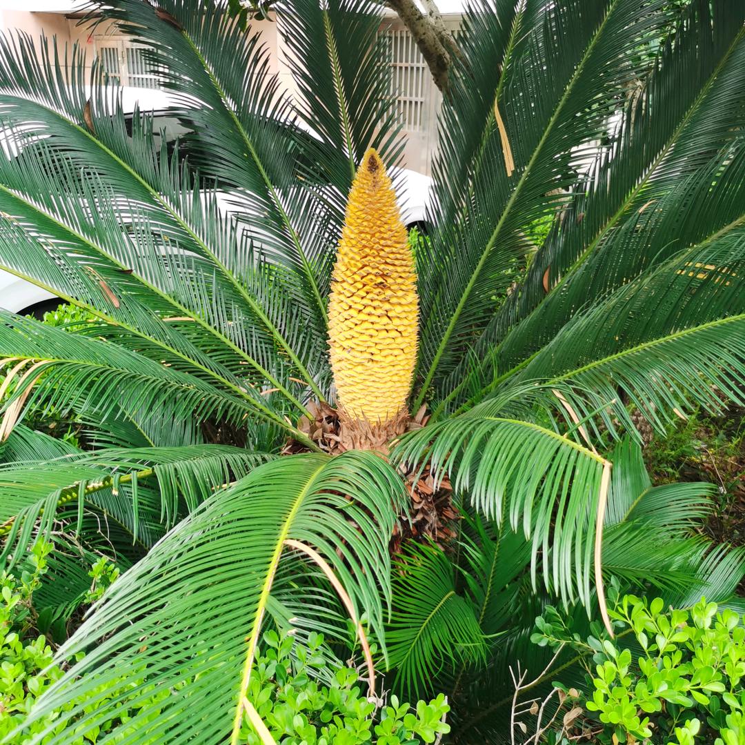 愿以寸心寄华夏,且将岁月赠山河！