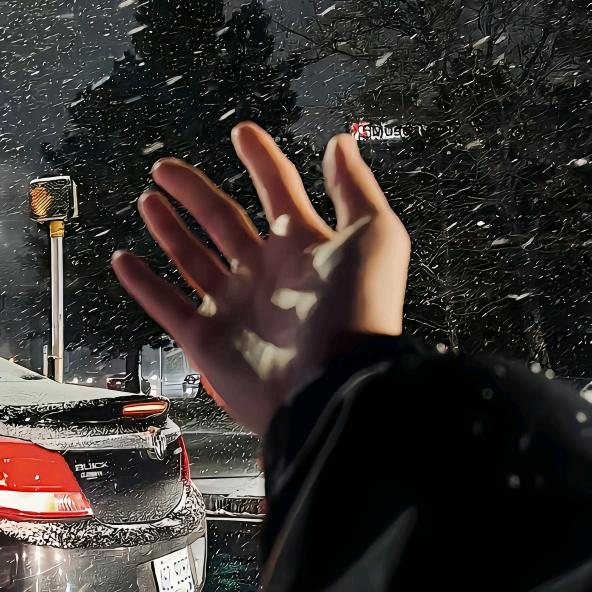 二两桃花酿做酒，一两相思一两愁