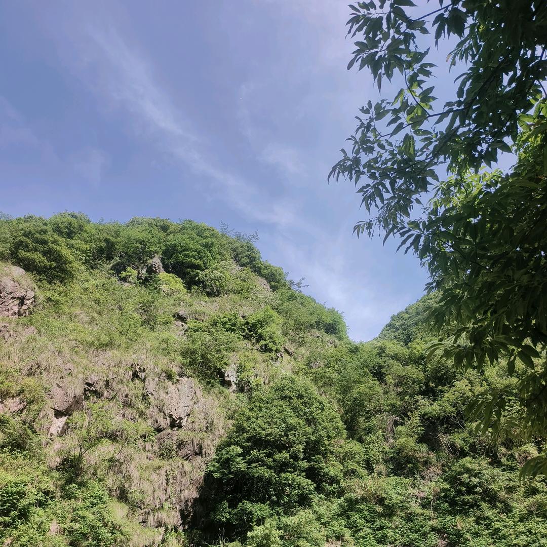 南柯