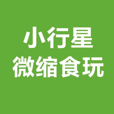 小行星微缩迷你