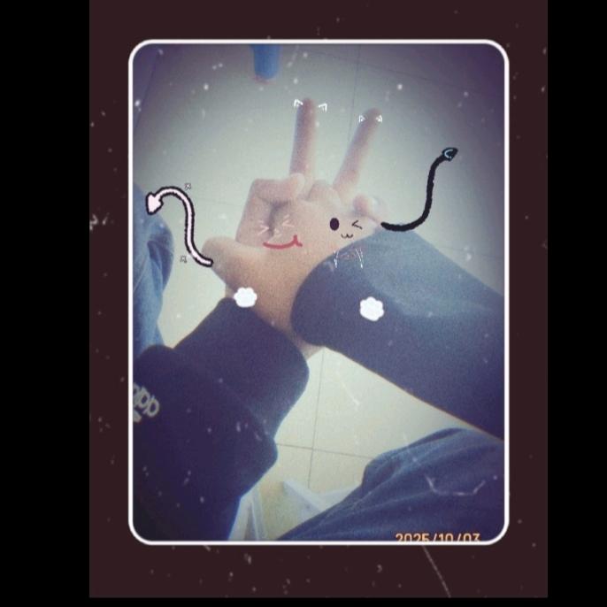 BSHDS的幸福号      ・♡。