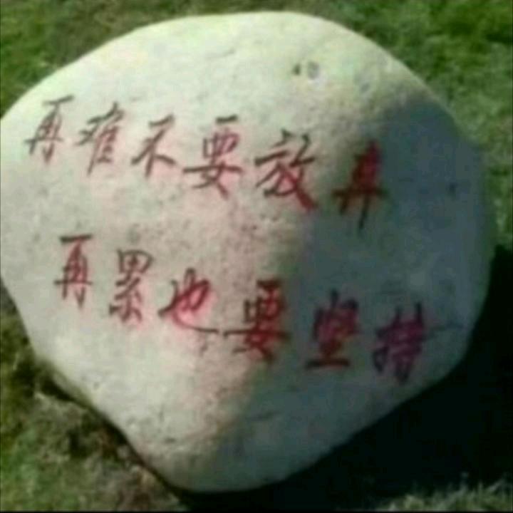 用户3082022063605