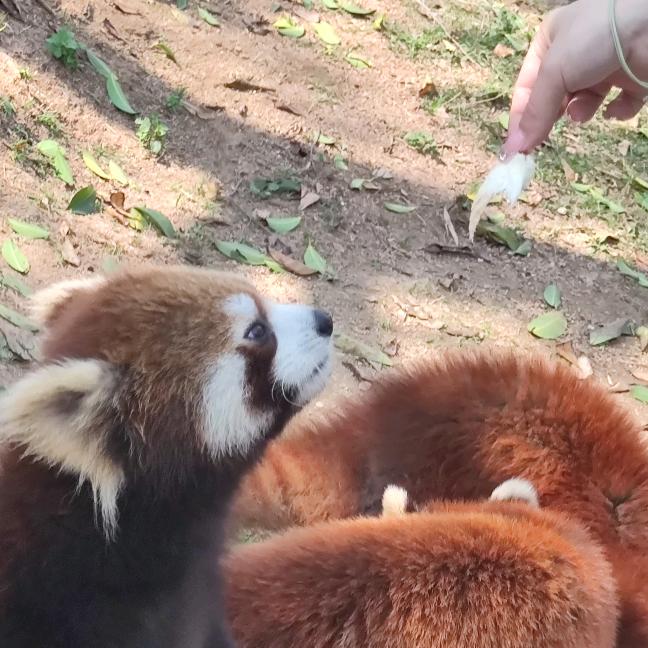勿相忘