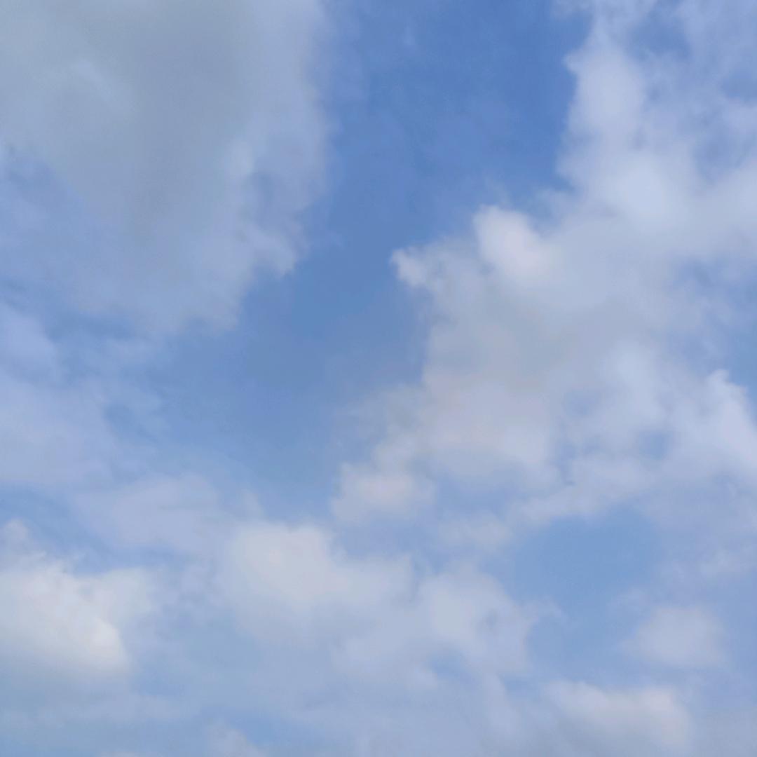 蓝天飞翔