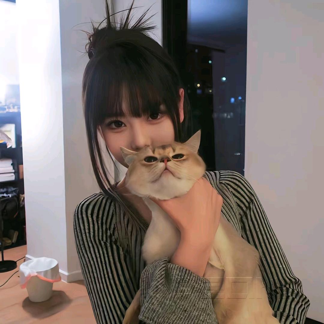 许愿不长肉