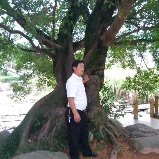 冯哥