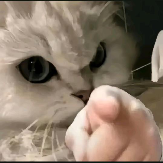开瑞