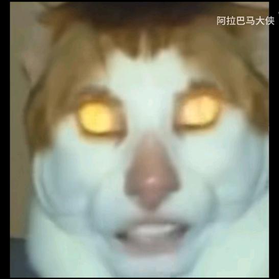 o。0