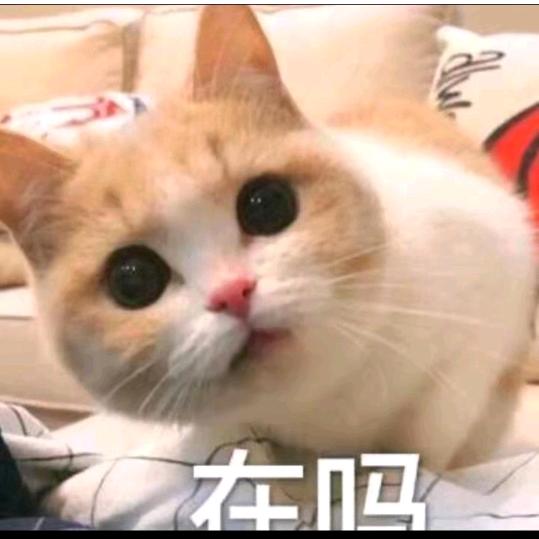 迷恋二少爷