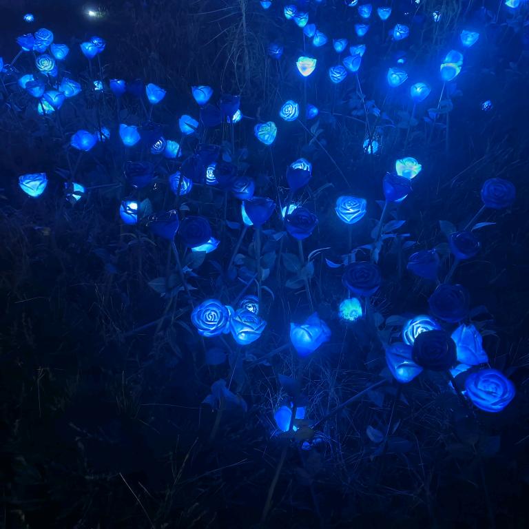 💥((🔥爱已成空🔥))💥