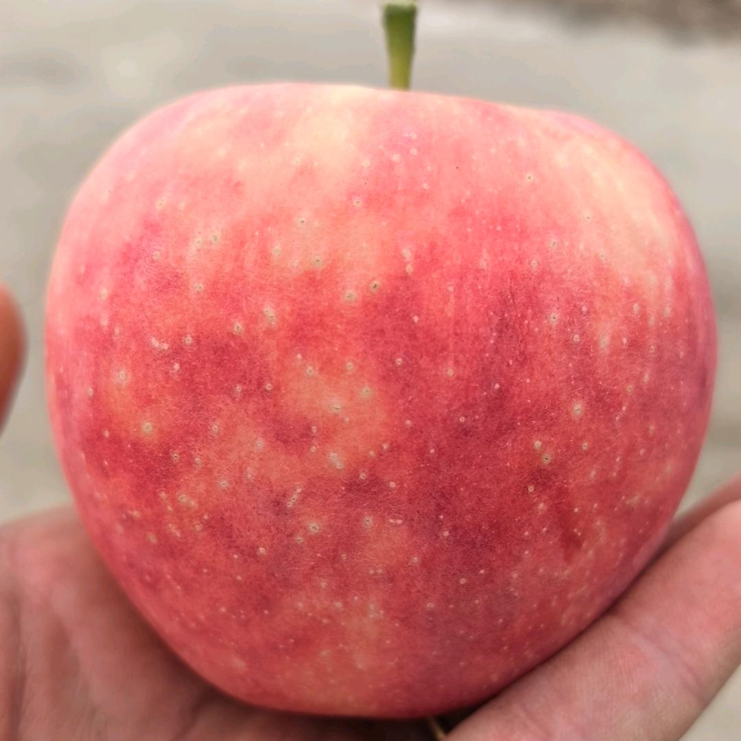 财来八方     牛 军