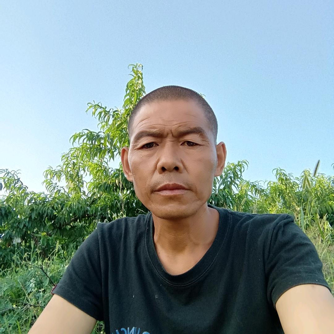 羊羊羊