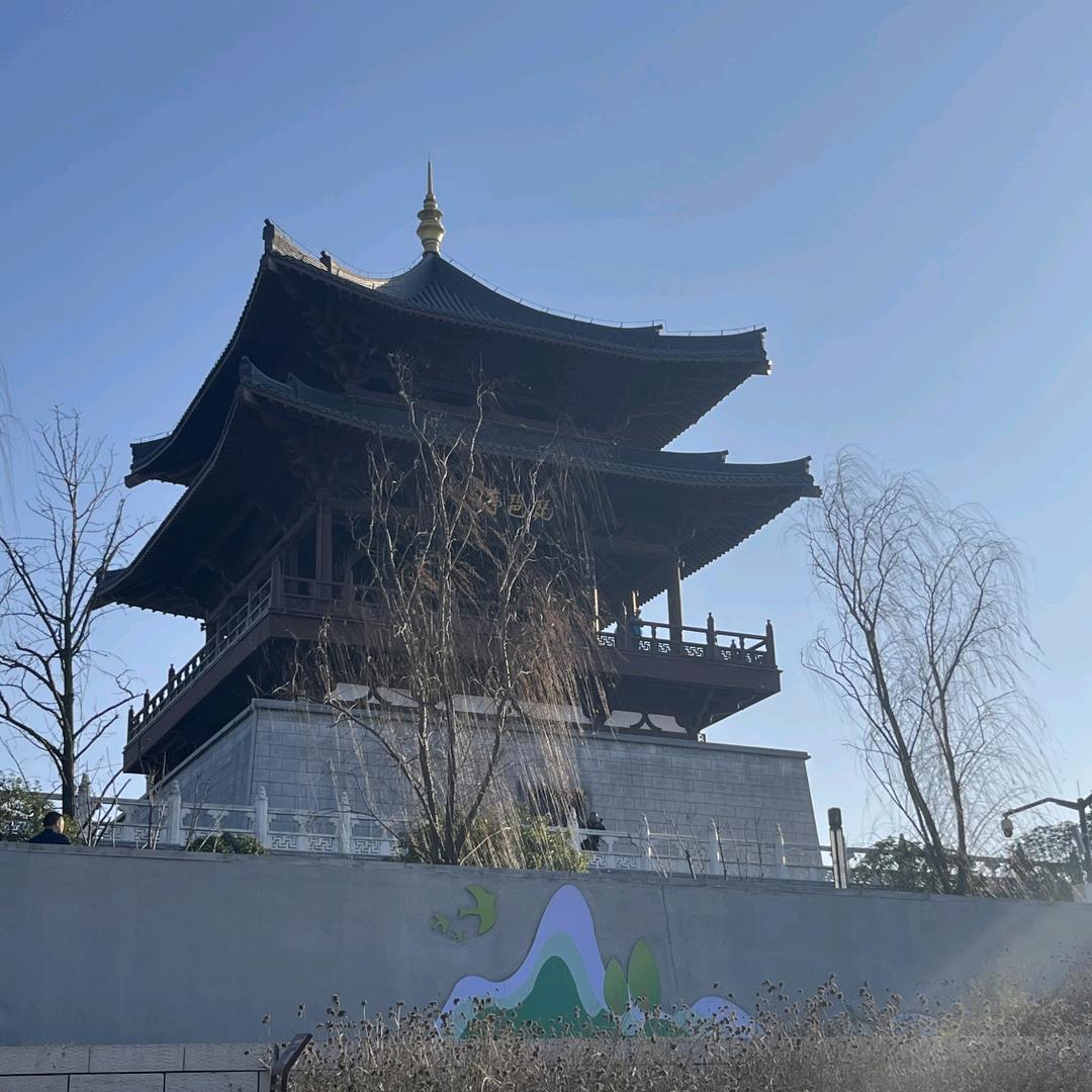 星合全景网络