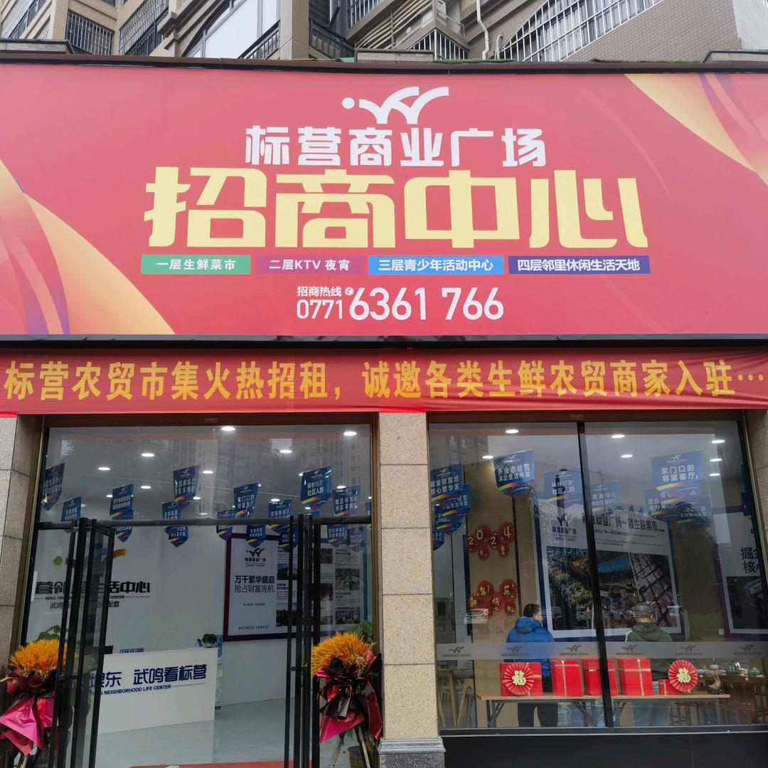 武鸣标营商业广场（武鸣标营新区集市）