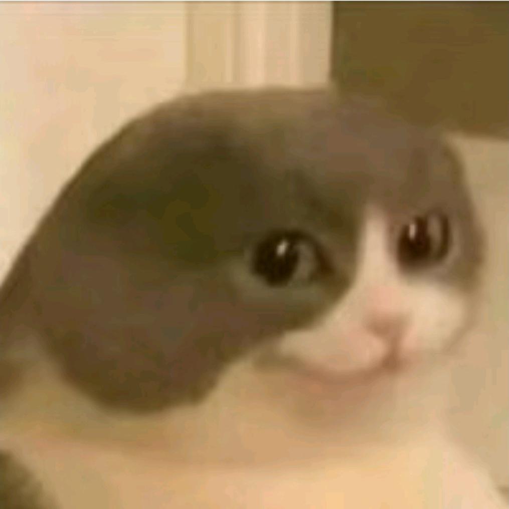 辞年