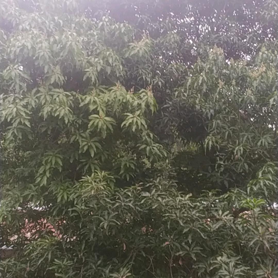 幼儿园大班首富