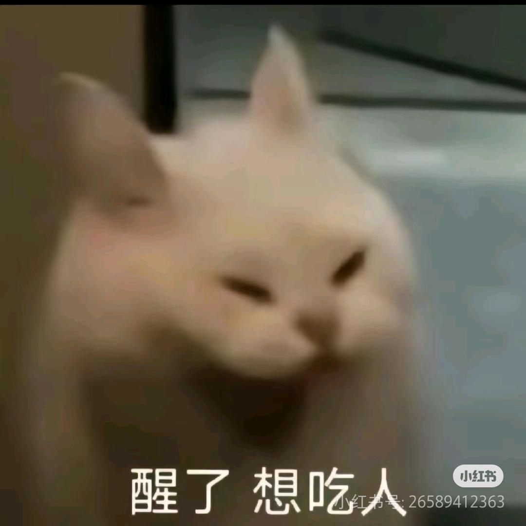 饿饿饿饿饿饿饿饿饿饿饿饿